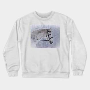 Lutin Crewneck Sweatshirt